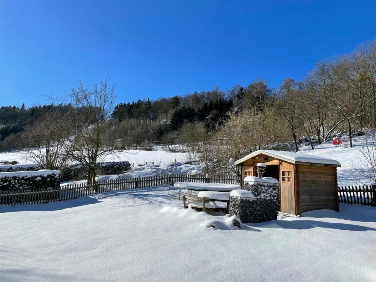 Ferienwohnung Up Willingen-Schwalefeld Вилинген Екстериор снимка