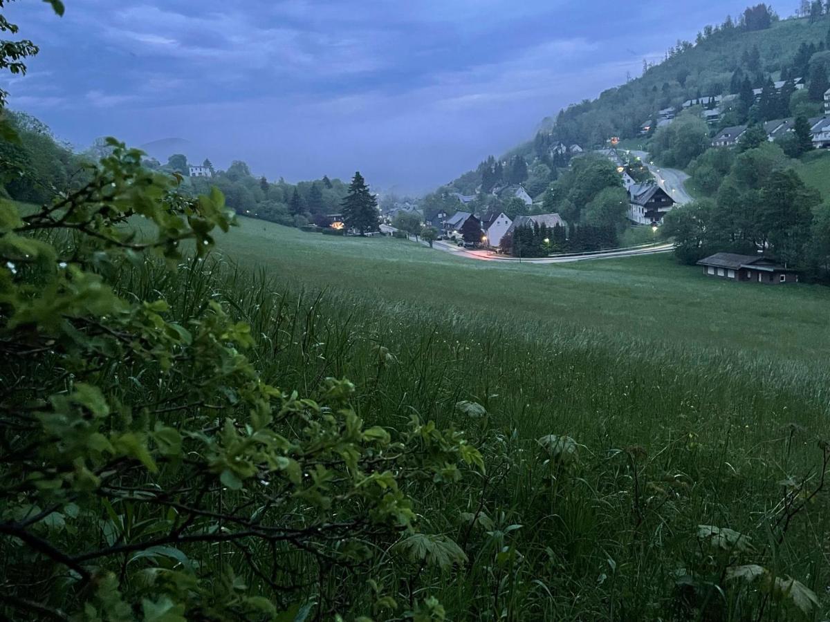 Ferienwohnung Up Willingen-Schwalefeld Вилинген Екстериор снимка