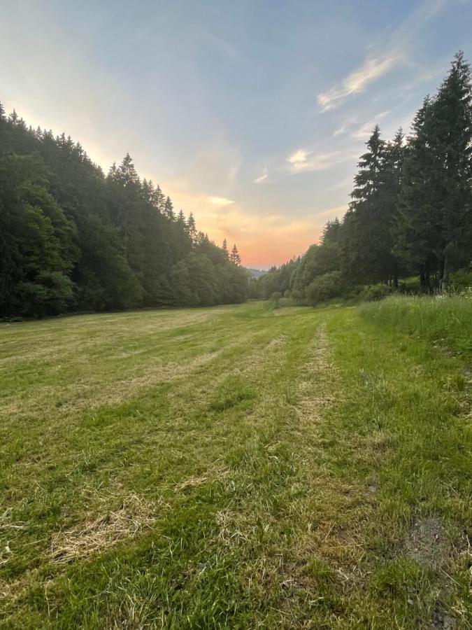 Ferienwohnung Up Willingen-Schwalefeld Вилинген Екстериор снимка