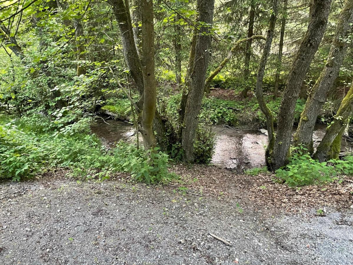 Ferienwohnung Up Willingen-Schwalefeld Вилинген Екстериор снимка