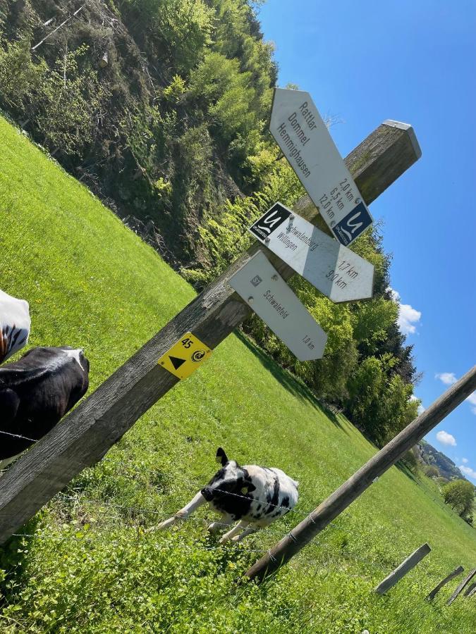 Ferienwohnung Up Willingen-Schwalefeld Вилинген Екстериор снимка